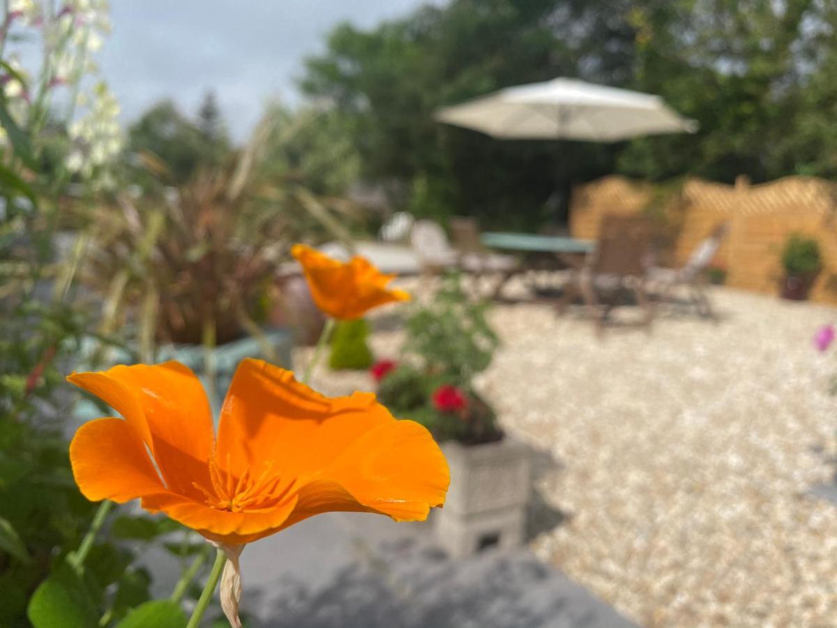 Toppesfield House B&B Bude Ngoại thất bức ảnh